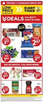 Giant Tiger catalogue in Saint-Hyacinthe | Our best bargains | 2026-07-22T00:00:00.000Z - 2026-07-28T00:00:00.000Z