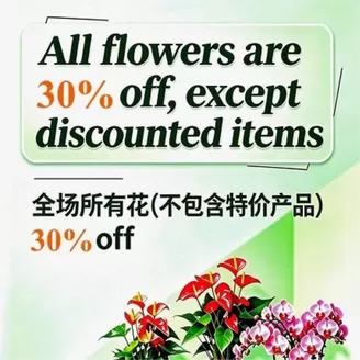 Nations Fresh Foods catalogue | Garden Center Fresh Deals Are Here! | 2026-07-24T00:00:00.000Z - 2026-07-30T00:00:00.000Z