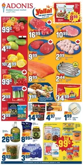 Marché Adonis catalogue | Top offers for all bargain hunters | 2026-07-30T00:00:00.000Z - 2026-08-05T00:00:00.000Z