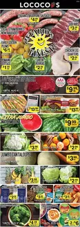 Lococos catalogue | Lococos weekly flyer | 2026-07-31T00:00:00.000Z - 2026-08-06T00:00:00.000Z