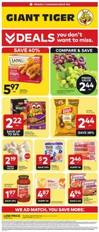 Giant Tiger catalogue | Exclusive bargains | 2026-08-19T00:00:00.000Z - 2026-08-25T00:00:00.000Z