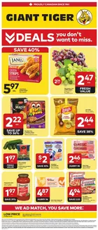 Giant Tiger catalogue | Discover attractive offers | 2026-08-19T00:00:00.000Z - 2026-08-25T00:00:00.000Z