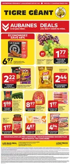 Giant Tiger catalogue | Current bargains and offers | 2026-08-19T00:00:00.000Z - 2026-08-25T00:00:00.000Z