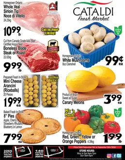 Cataldi catalogue | Weekly flyer | 2026-09-09T00:00:00.000Z - 2026-09-15T00:00:00.000Z