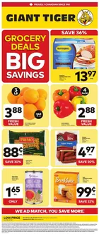 Giant Tiger catalogue | Our best offers for you | 2026-09-23T00:00:00.000Z - 2026-09-29T00:00:00.000Z