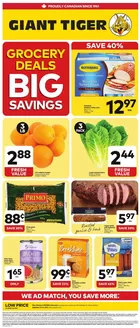 Giant Tiger catalogue | Exclusive deals for our customers | 2026-09-23T00:00:00.000Z - 2026-09-29T00:00:00.000Z