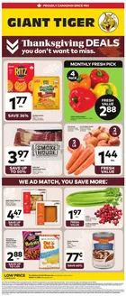 Giant Tiger catalogue | Exclusive bargains | 2026-10-07T00:00:00.000Z - 2026-10-13T00:00:00.000Z