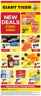 Giant Tiger catalogue | Discover attractive offers | 2026-10-21T00:00:00.000Z - 2026-10-27T00:00:00.000Z