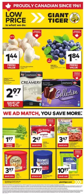 Our best offers for you