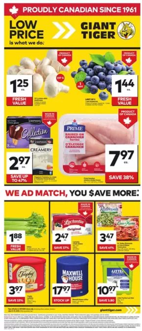 Giant Tiger catalogue in Comber ON | Great offer for bargain hunters | 2025-07-23T00:00:00.000Z - 2025-07-29T00:00:00.000Z