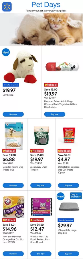 Walmart catalogue in Bolton | New offers to discover | 2025-08-07T00:00:00.000Z - 2025-08-20T00:00:00.000Z