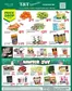 T&T Supermarket catalogue in Bow Island | T&T Supermarket weekly flyer | 2025-11-21T00:00:00.000Z - 2025-11-27T00:00:00.000Z