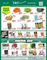 T&T Supermarket catalogue in Bow Island | Current bargains and offers | 2025-11-21T00:00:00.000Z - 2025-11-27T00:00:00.000Z