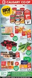 Calgary Co-op catalogue in Belleville | Weekly flyer  | 2026-01-15T00:00:00.000Z - 2026-01-21T00:00:00.000Z
