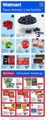 Walmart catalogue in Spruce Grove | Walmart flyer | 2026-01-29T00:00:00.000Z - 2026-02-04T00:00:00.000Z