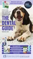 Petvalu catalogue in Ottawa | The dental guide  | 2026-02-05T00:00:00.000Z - 2026-02-28T00:00:00.000Z