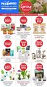 Petsmart catalogue | Exclusive bargains | 2026-04-20T00:00:00.000Z - 2026-05-03T00:00:00.000Z