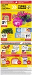 Giant Tiger catalogue in Hamilton | Discover attractive offers | 2026-05-06T00:00:00.000Z - 2026-05-12T00:00:00.000Z