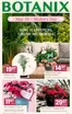 Botanix catalogue in Melville | Botanix Flyer: Celebrate Mom from May 7 to 13, 2026 | 2026-05-07T00:00:00.000Z - 2026-05-13T00:00:00.000Z