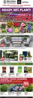 Sheridan Nurseries catalogue in Prince George | Save up to 30% off  | 2026-05-14T00:00:00.000Z - 2026-05-20T00:00:00.000Z