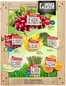 Pomme Salade catalogue | Great discounts on selected products | 2026-05-21T00:00:00.000Z - 2026-05-27T00:00:00.000Z