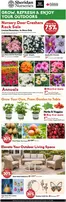 Sheridan Nurseries catalogue | Save up to 75% off regular price | 2026-06-05T00:00:00.000Z - 2026-06-10T00:00:00.000Z