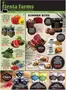 Fiesta Farms catalogue | Weekly flyer | 2026-06-08T00:00:00.000Z - 2026-06-11T00:00:00.000Z