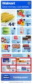 Walmart catalogue in Saint-Lambert | Walmart flyer | 2026-06-11T00:00:00.000Z - 2026-06-17T00:00:00.000Z