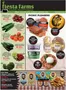 Fiesta Farms catalogue | Weekly flyer | 2026-06-12T00:00:00.000Z - 2026-06-18T00:00:00.000Z