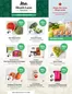 Blush Lane catalogue in Quebec | Flavours Fresh for Summer Days | 2026-06-18T00:00:00.000Z - 2026-06-27T00:00:00.000Z