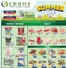Oceans Fresh Food Market catalogue | Enjoy Special deals everyday | 2026-06-19T00:00:00.000Z - 2026-06-25T00:00:00.000Z