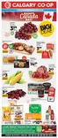 Calgary Co-op catalogue | Weekly Flyer | 2026-06-25T00:00:00.000Z - 2026-07-01T00:00:00.000Z