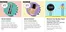 Sephora catalogue | Beauty Offers | 2026-06-25T00:00:00.000Z - 2026-07-07T00:00:00.000Z