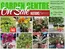 Nations Fresh Foods catalogue in Saint-Jérôme | Canada day weekend blowout sale! | 2026-06-26T00:00:00.000Z - 2026-07-02T00:00:00.000Z