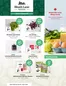 Blush Lane catalogue in Cranbrook BC | Weekly flyer  | 2026-06-29T00:00:00.000Z - 2026-07-04T00:00:00.000Z