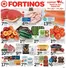 Fortinos catalogue | Fortinos weekly flyer | 2026-07-02T00:00:00.000Z - 2026-07-15T00:00:00.000Z