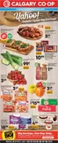 Calgary Co-op catalogue in Brampton | Weekly flyer | 2026-07-02T00:00:00.000Z - 2026-07-08T00:00:00.000Z