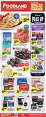 Foodland catalogue in Brampton | Weekly flyer | 2026-07-02T00:00:00.000Z - 2026-07-08T00:00:00.000Z