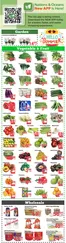 Nations Fresh Foods catalogue | Weekly Specials Are Here! | 2026-07-03T00:00:00.000Z - 2026-07-09T00:00:00.000Z