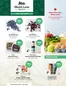 Blush Lane catalogue | Weekly flyer | 2026-07-06T00:00:00.000Z - 2026-07-11T00:00:00.000Z
