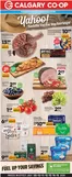 Calgary Co-op catalogue in Clearwater | Yahoo Saddle Up for Big Savings! | 2026-07-09T00:00:00.000Z - 2026-07-15T00:00:00.000Z