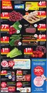 Maxi catalogue | Méga vente | 2026-07-09T00:00:00.000Z - 2026-07-15T00:00:00.000Z