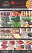 Galati Market Fresh catalogue in Barrie | Flyer valide for two weeks  | 2026-08-03T00:00:00.000Z - 2026-08-13T00:00:00.000Z