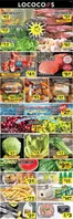 Lococos catalogue | Lococos Weekly ad | 2026-08-10T00:00:00.000Z - 2026-08-16T00:00:00.000Z