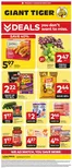 Giant Tiger catalogue in Atholville | Discover attractive offers | 2026-08-19T00:00:00.000Z - 2026-08-25T00:00:00.000Z