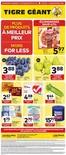 Giant Tiger catalogue | Our best bargains | 2026-09-09T00:00:00.000Z - 2026-09-15T00:00:00.000Z