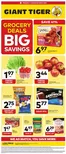 Giant Tiger catalogue | New offers to discover | 2026-09-16T00:00:00.000Z - 2026-09-22T00:00:00.000Z