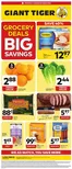 Giant Tiger catalogue | Great offer for bargain hunters | 2026-09-23T00:00:00.000Z - 2026-09-29T00:00:00.000Z