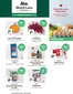 Blush Lane catalogue | Weekly deals | 2026-10-05T00:00:00.000Z - 2026-10-10T00:00:00.000Z