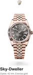 Rolex catalogue in Ottawa | Sky Dweller | 2025-04-23T00:00:00.000Z - 2025-12-31T00:00:00.000Z